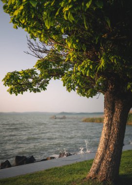 Gün batımında Balaton Gölü manzarası