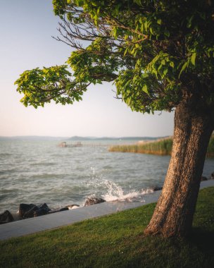 Gün batımında Balaton Gölü manzarası