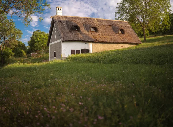 Thatched Roof House Lake Balaton — 스톡 사진