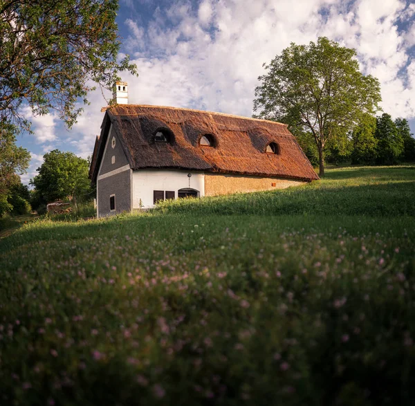 Thatched Roof House Lake Balaton — Zdjęcie stockowe