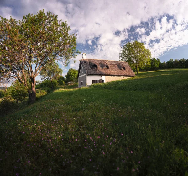 Thatched Roof House Lake Balaton — Zdjęcie stockowe