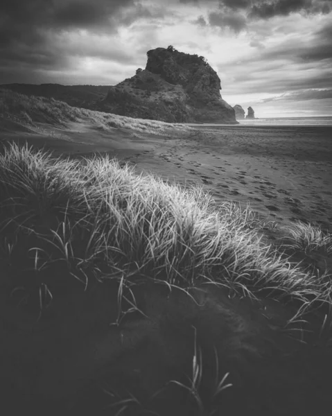 stock image Famous Piha Beach in New Zealand