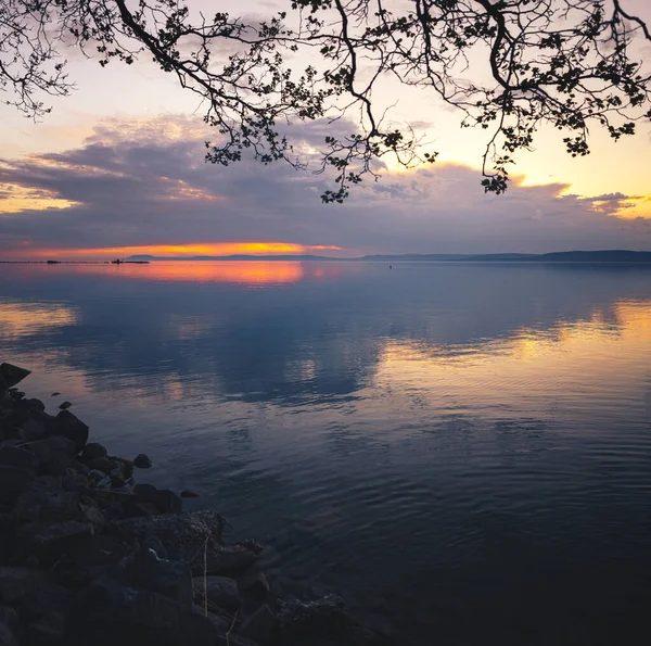 Fantástico Pôr Sol Sobre Lago Balaton Com Cisne — Fotografia de Stock