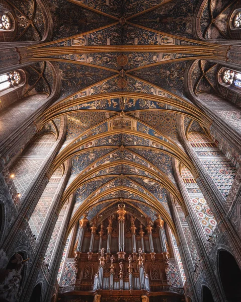 Tak För Katedralen Albi Frankrike — Stockfoto