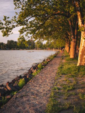 Gün batımında Balaton Gölü manzarası