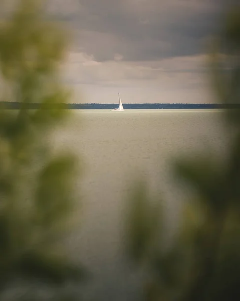 Озеро Балатон Парусниками Ветреный День Летом — стоковое фото