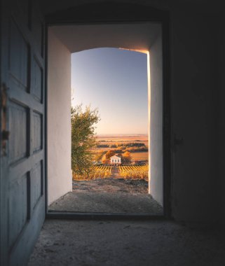 Tokaj 'da sonbaharda harika üzüm bağlarında güzel bir restoran ve şarap mahzeni var.