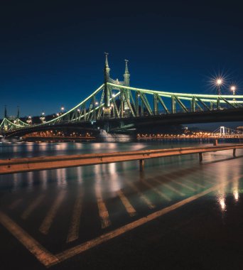 ünlü Özgürlük Köprüsü Budapeşte, Macaristan
