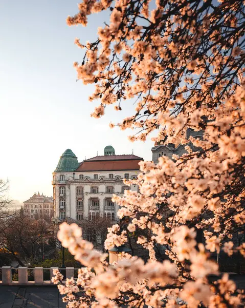 Gellert Thermale Baden Boedapest Het Voorjaar — Stockfoto