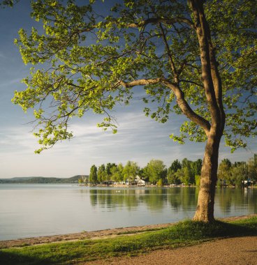 Yazın Balaton Gölü 'ndeki güzel Kvassay Bulvarı.