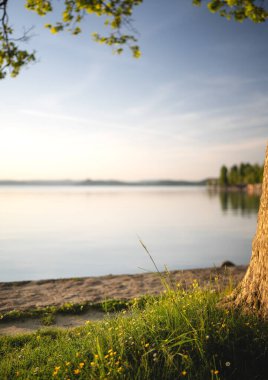 Yazın Balaton Gölü 'ndeki güzel Kvassay Bulvarı.