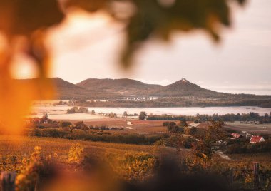 Famous Szigliget castle with vineyards in autumn clipart