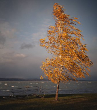 Sonbaharda rüzgarlı bir günde Balaton Gölü