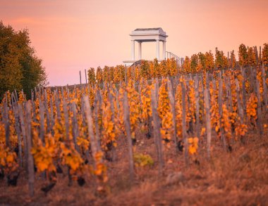 Small wine cellar at wonderful vineyards at Tokaj in autumn clipart