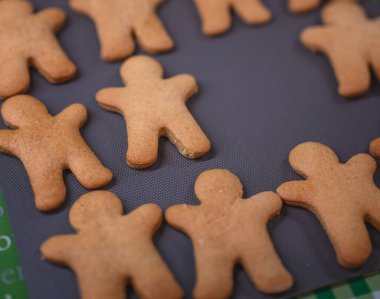 Taze zencefilli kek.