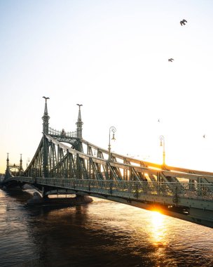 Budapeşte 'nin İkonik Köprüsü, Yazın Özgürlük Köprüsü