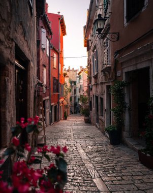 ROVINJ, CROATIA - 2 Haziran 2024: Hırvatistan 'ın Rovinj kentindeki dar sokaklar.