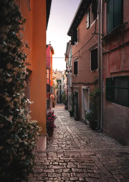 ROVINJ, CROATIA - 2 Haziran 2024: Hırvatistan 'ın Rovinj kentindeki dar sokaklar.