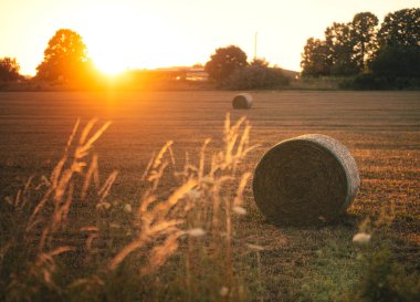 Yazın Balaton Gölü 'nde inanılmaz bir gün batımı.