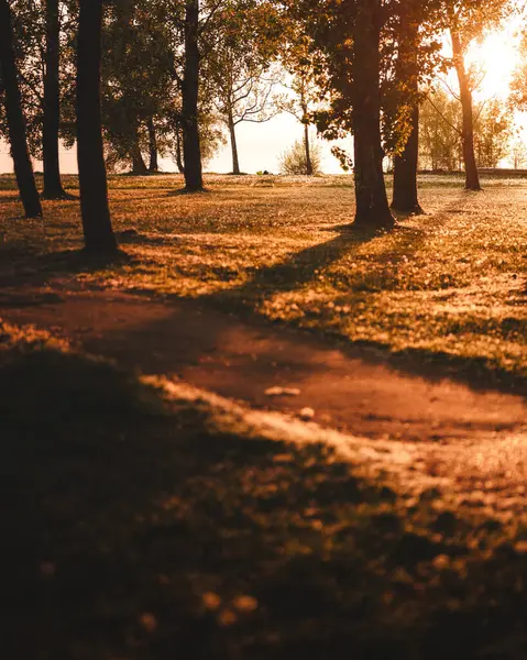 Yaz Günbatımı Balaton Gölü 'nde Ağaçlar ve Marina Ilık Işıkta