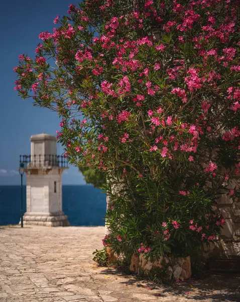 Hırvatistan 'ın Rovinj kentindeki Adriyatik Denizi' ne Bakan Taş Kule