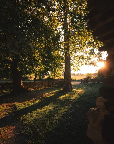Macaristan, Balaton Gölü yakınlarındaki Sunset tarafından aydınlatılan Ortaçağ Taş Harabeleri