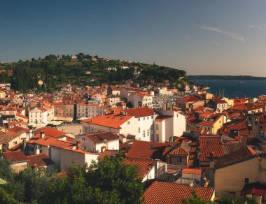 Piran Eski Kenti ve Adriyatik Sahil Hattı, Slovenya Yaz Panoraması