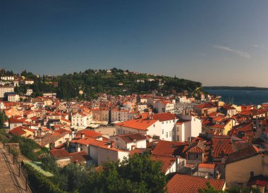 Piran Eski Kenti ve Adriyatik Sahil Hattı, Slovenya Yaz Panoraması