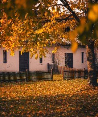Sonbaharda sazdan çatılı geleneksel Macar kır evi