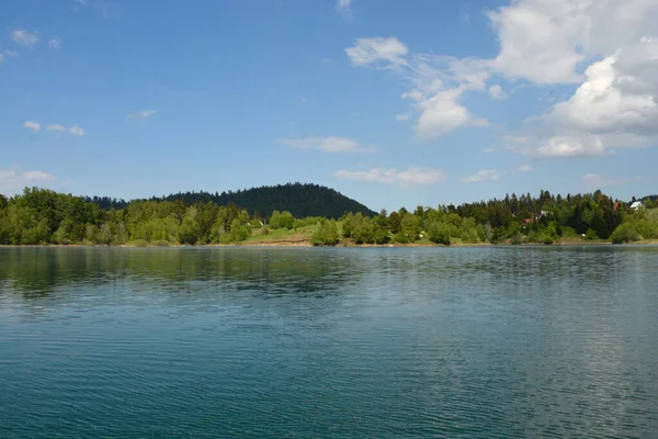 Detalhe Lago Lokve Lago Lokvarsko Gorski Kotar Croácia — Fotografia de Stock