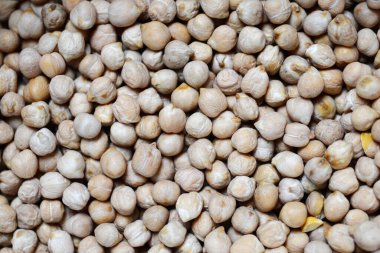 Close up of surface covered in dry chikpeas