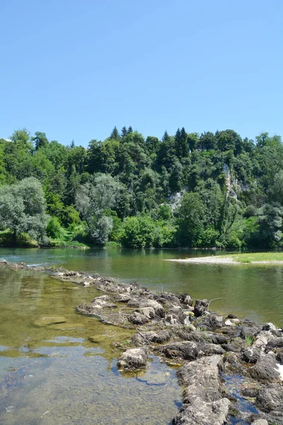 Detail of river Kupa near Orljakovo in Croatia