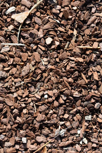 Detail Wood Chip Mulch Surface Ground — Stock Photo, Image