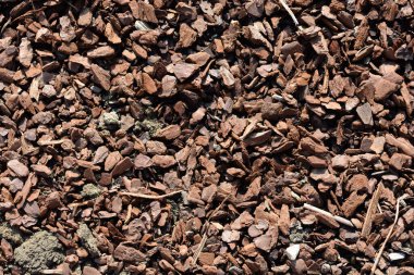 Yerdeki ahşap yonga saman yüzeyinin ayrıntıları