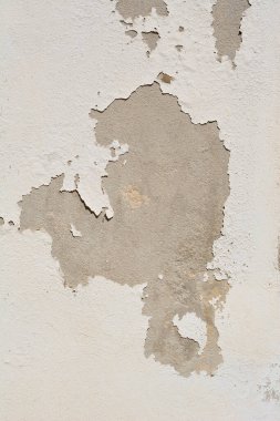 Beyaz kabuklu beton duvarın ayrıntıları