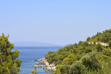 Peljesac 'tan Korcula adasının çam ve zeytin ağaçları üzerindeki görüntüsü