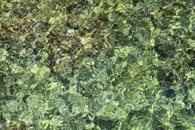 Dalgalar ve yansımalarla deniz yüzeyinin ayrıntıları