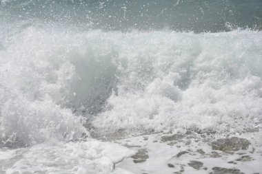 Köpüklü dalgaların kıyıya çarpması