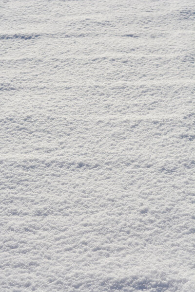 Snow-covered park ground on a sunny day