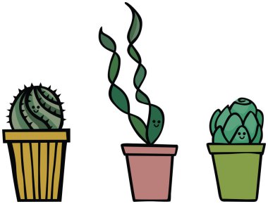 Tencerelerdeki üç sulu bitkinin çizgi film çizimi