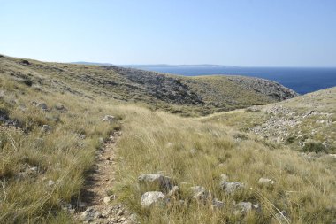 Krk adasının güney tarafında Vela Draga 'ya doğru yürüyüş yapıyor.