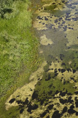 Cetina nehri üzerindeki Balecki köprüsünün üst manzarası.