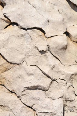 Güneşli bir günde taş yüzeyin ayrıntıları