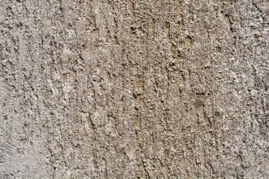 Dış duvarın dış cephesi gri.