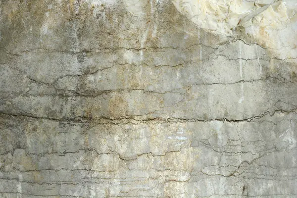 Detail Kamenného Povrchu Slunečného Dne — Stock fotografie