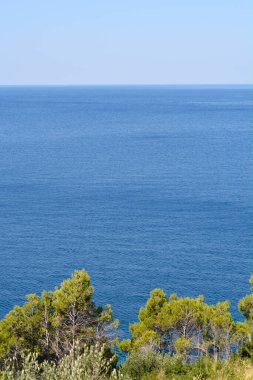 Çam ağaçlarının üzerinden Adriyatik Denizi manzarası 