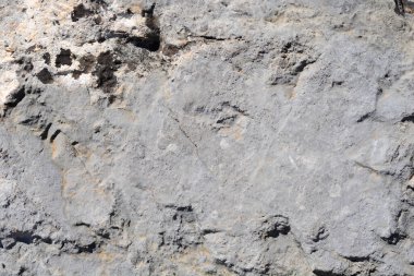 Güneşli bir günde taş bir yüzeyin ayrıntıları