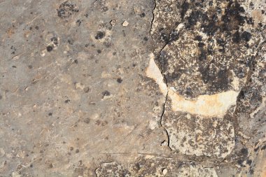 Güneşli bir günde taş bir yüzeyin ayrıntıları