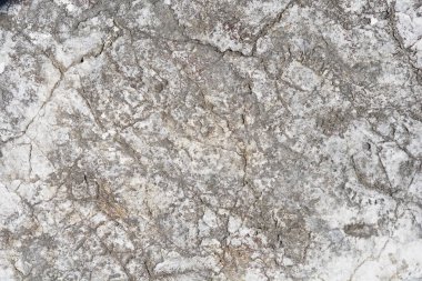 Güneşli bir günde taş bir yüzeyin ayrıntıları