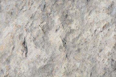 Güneşli bir günde taş bir yüzeyin ayrıntıları